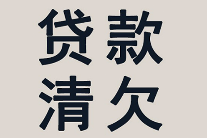 湖州追账公司:网贷诉讼与还款哪个更明智？
